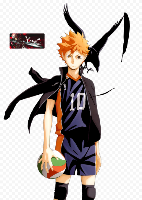 Haikyuu PNG Transparent Image