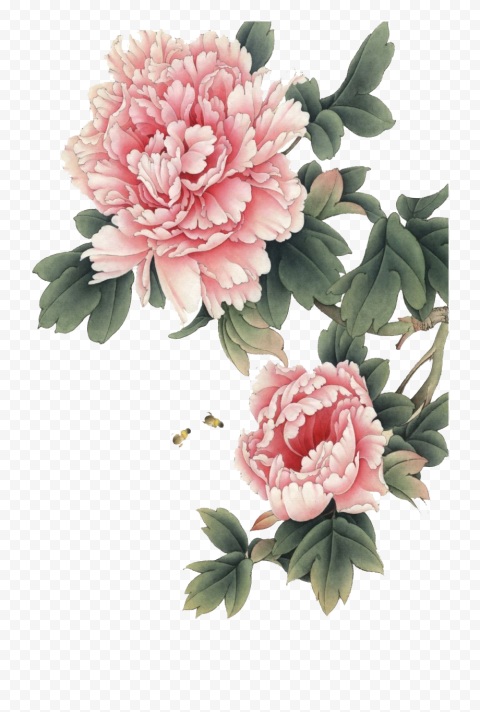 Download Chinese Flower Transparent Background