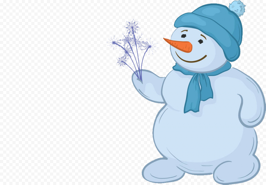 snowman flightless bird bird for christmas 1
