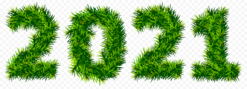 2021 year PNG30