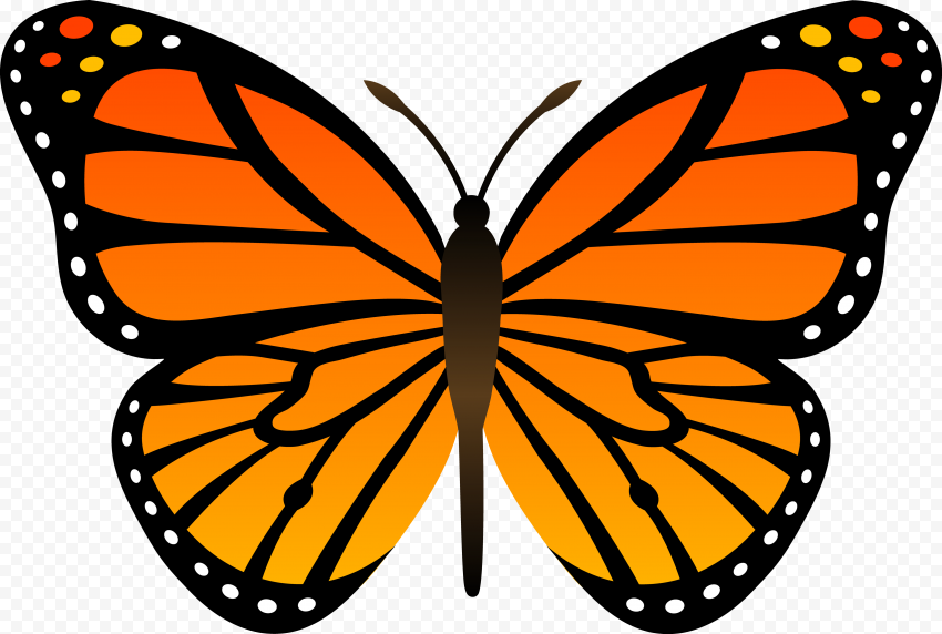 butterfly crown png