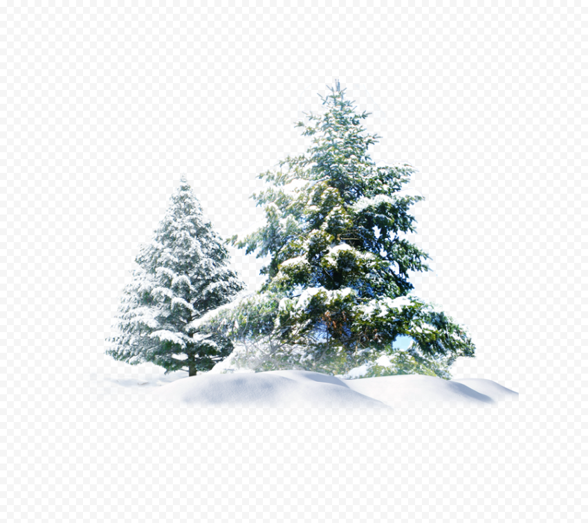 Christmas Tree Snow   Christmas Snow Tree Creative
