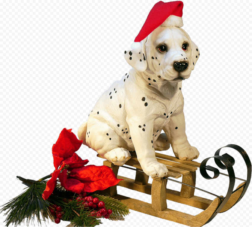 Christmas Dog on A Sledge