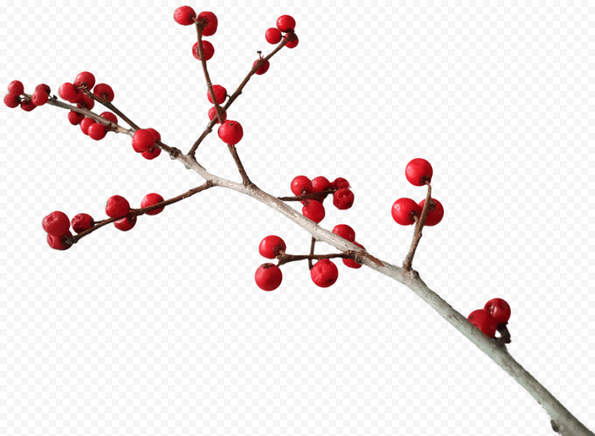 Christmas Branch Decoration