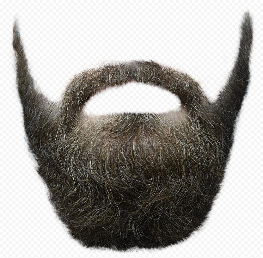 Beard, Beard, bear illustration