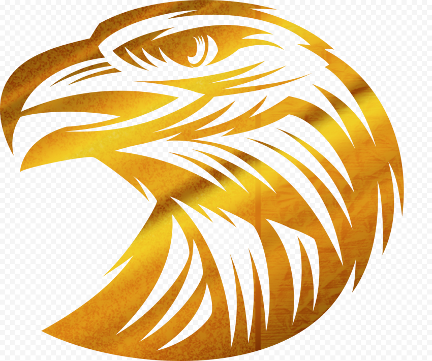 gold bird head illustration, Bald Eagle, Golden Eagle, food, golden Frame, animals
