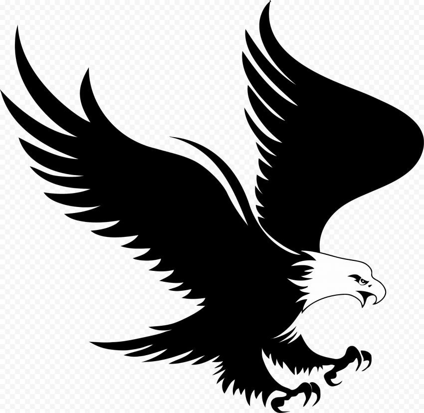 Bald Eagle Logo, eagle, animals, fauna, bird