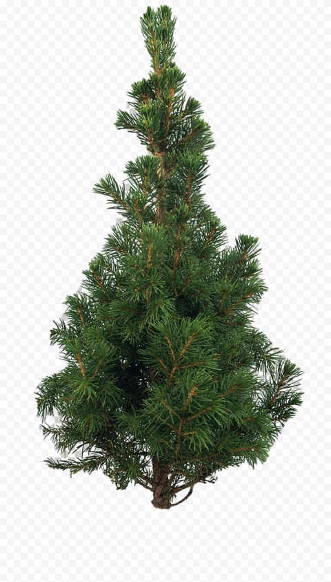 Download Artificial Christmas Tree PNG Pic