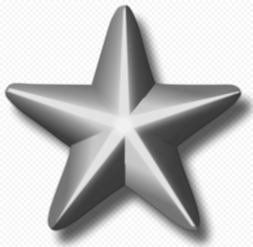 service silver star png