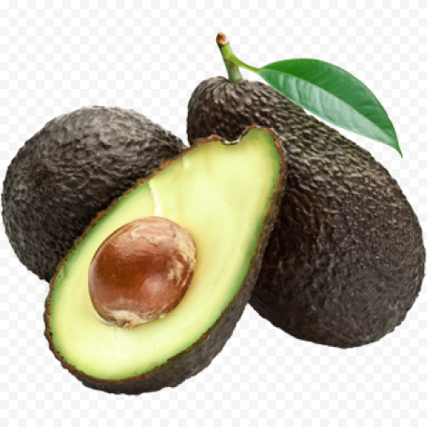Download avocado free png image