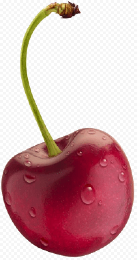 red cherry png image download 1