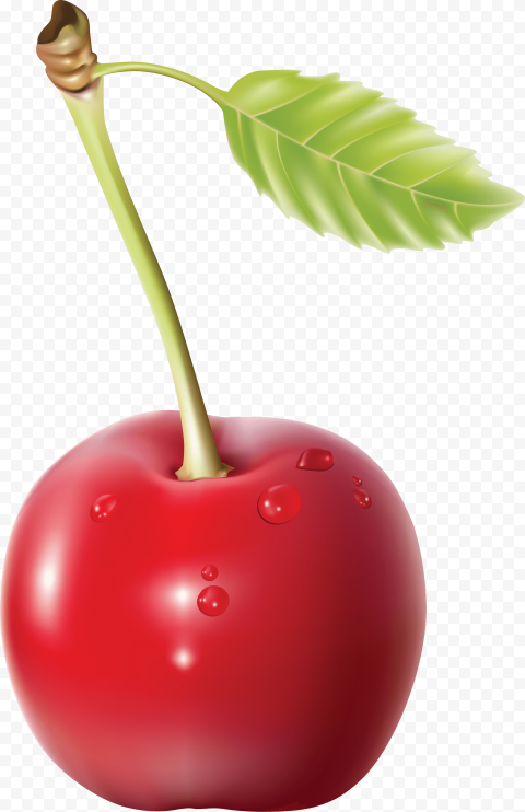 cherry png image