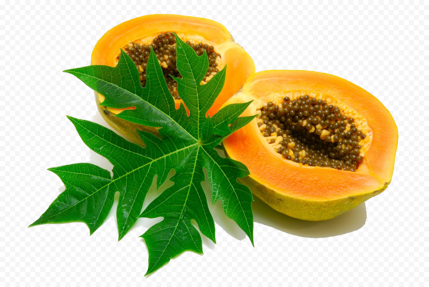24647 5 papaya image