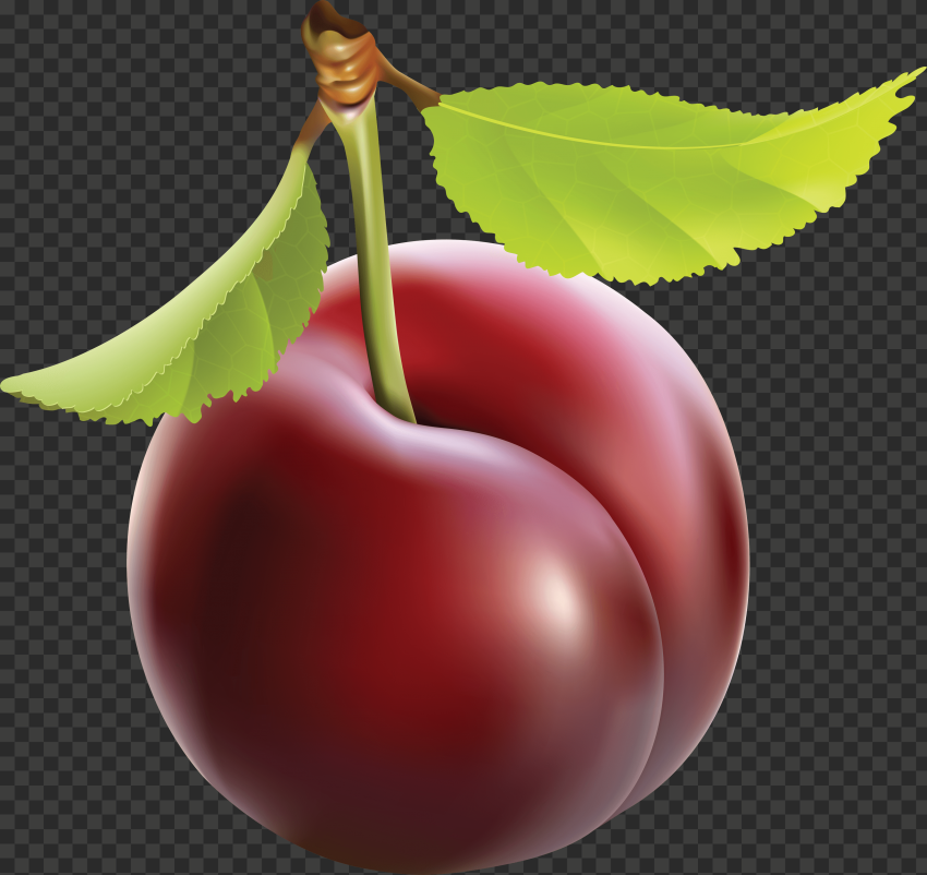 plum png image 3