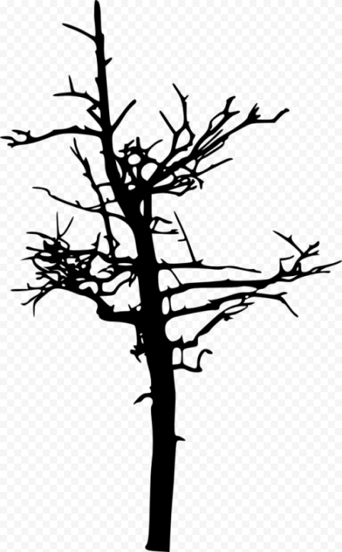 dead tree silhouette