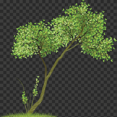 tree 3509x3537