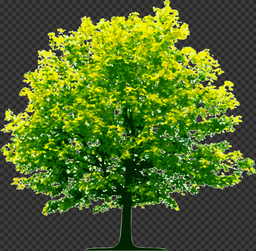 tree png silhouette