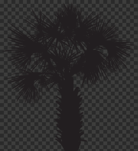 palm tree silhouette outline png