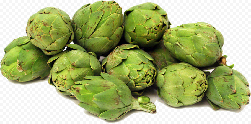 artichokes file