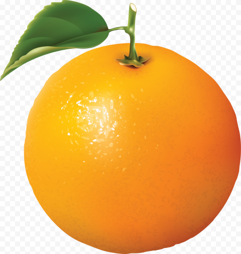 orange png file for free