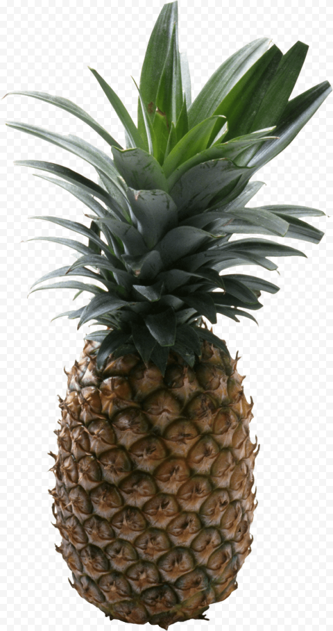 pineapple fruit png image
