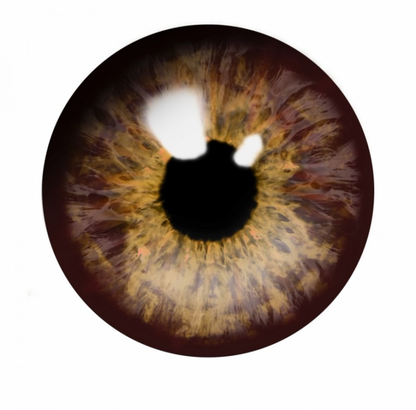 Brown Eye Png