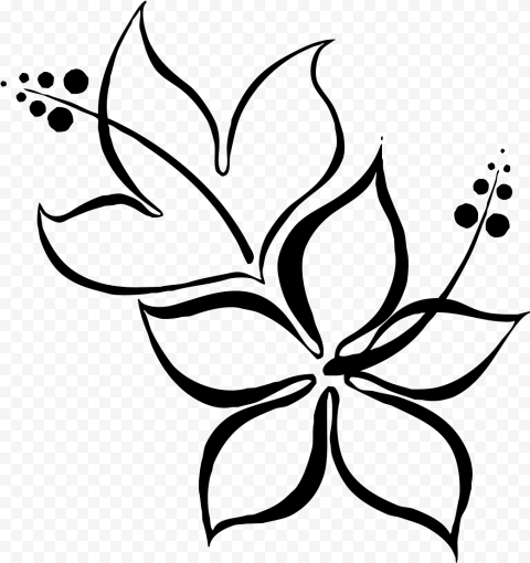 Simple Design Flowers Drawings, HD Png
