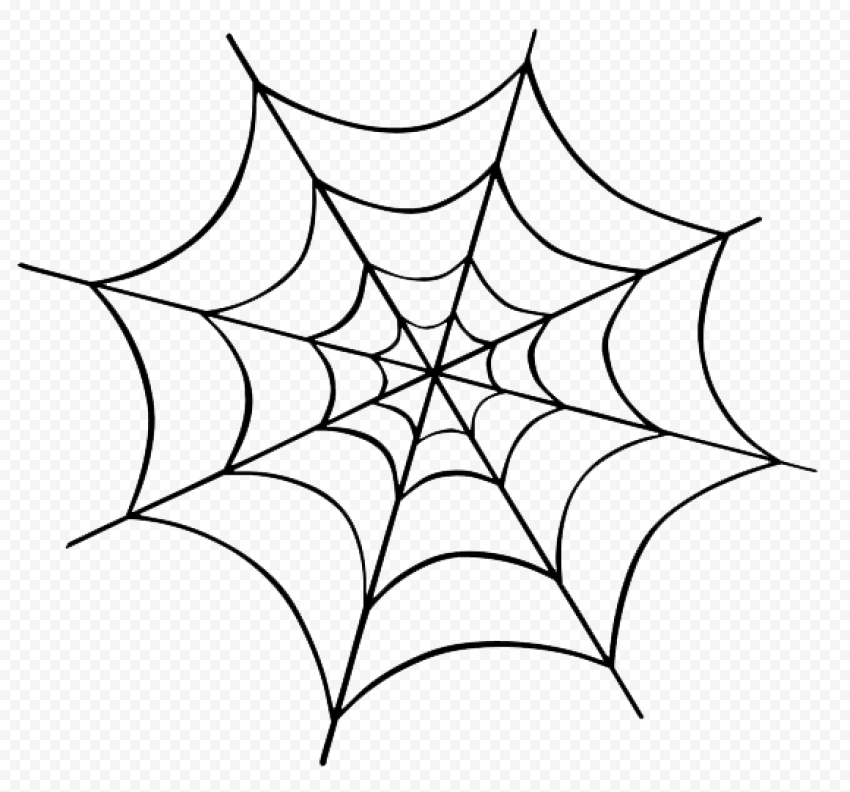 Halloween Spider Transparent Background