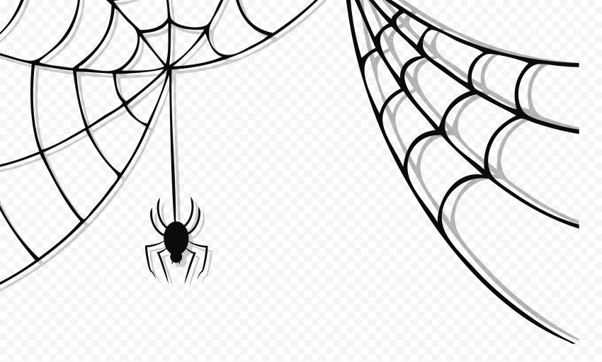 Halloween Spider Picture