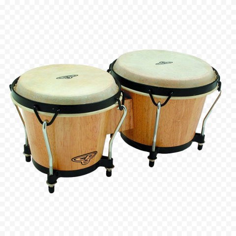 Bongo Drum