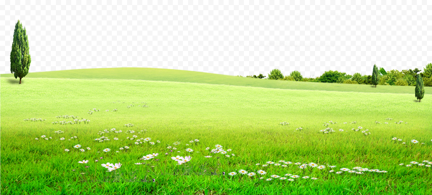 Landscape Green Field PNG Image