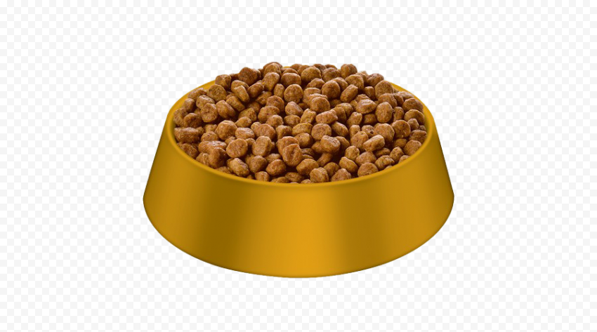 Dry Dog Food