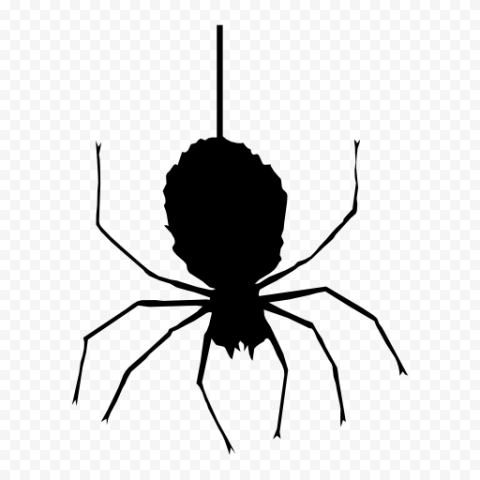 Halloween Spider PNG Clipart