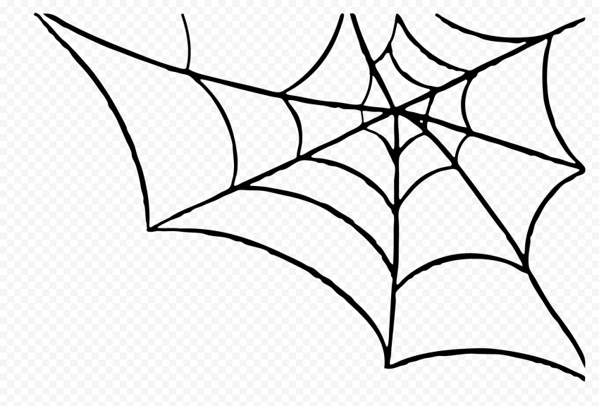 Halloween Spider PNG Image