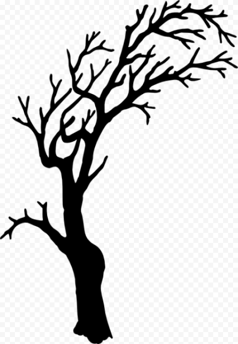 Halloween Tree PNG Photos