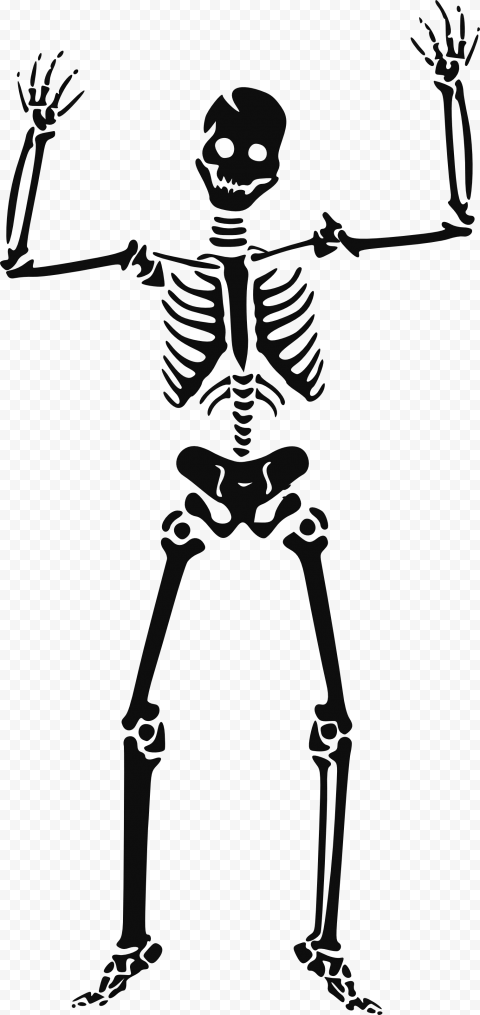 Halloween Skeleton PNG HD