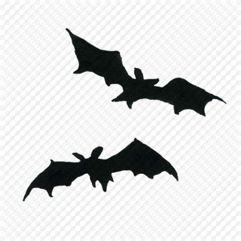 Halloween Bat Transparent PNG