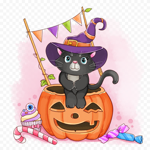 Halloween pumpkin black cat