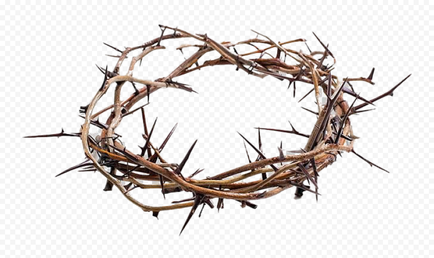 Thorns Crown PNG Picture