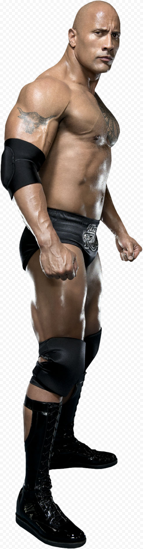 The Rock PNG Transparent