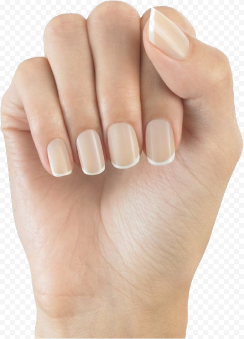 Nail Download PNG Image