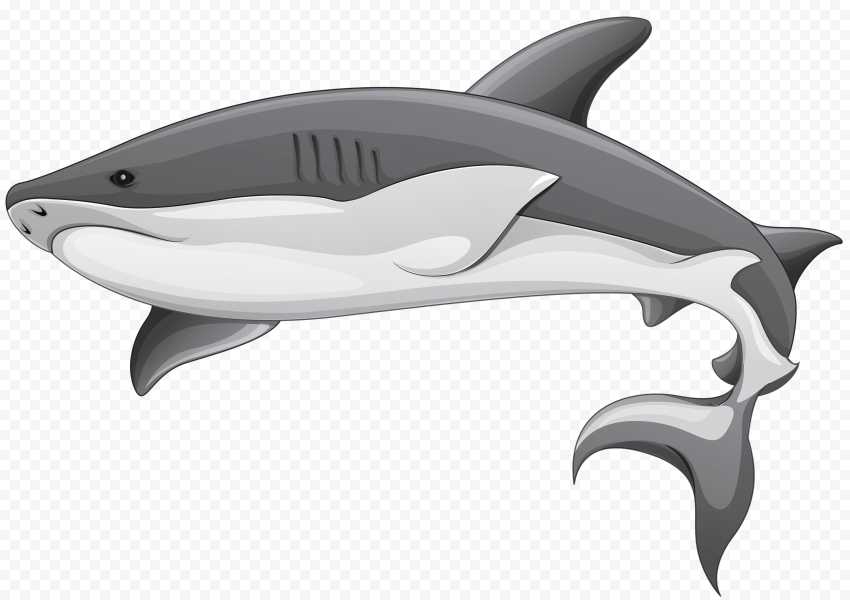 Aquatic Real Shark PNG Clipart
