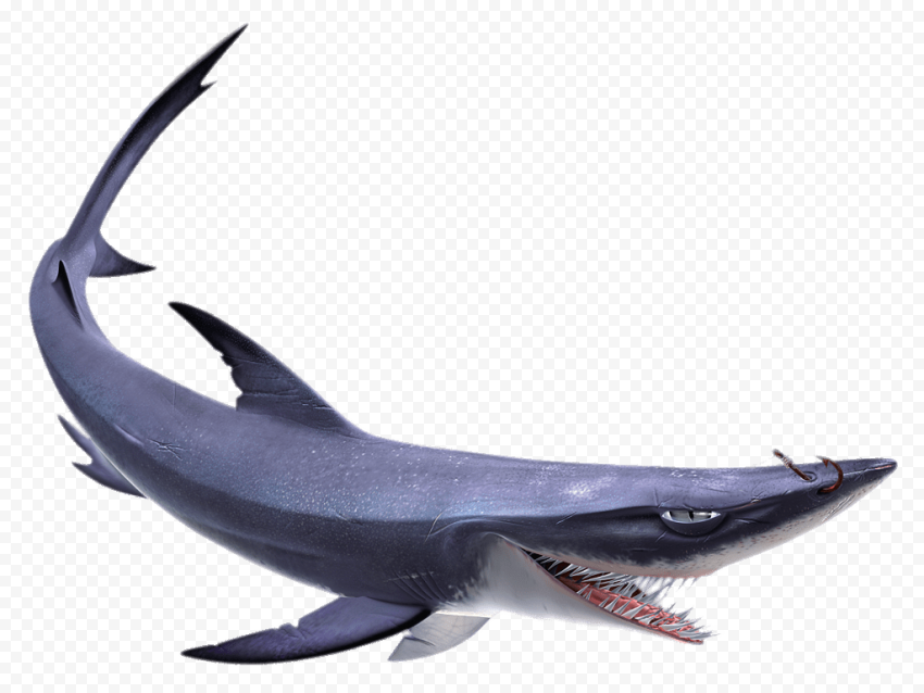 Blue Nemo Shark PNG Pic