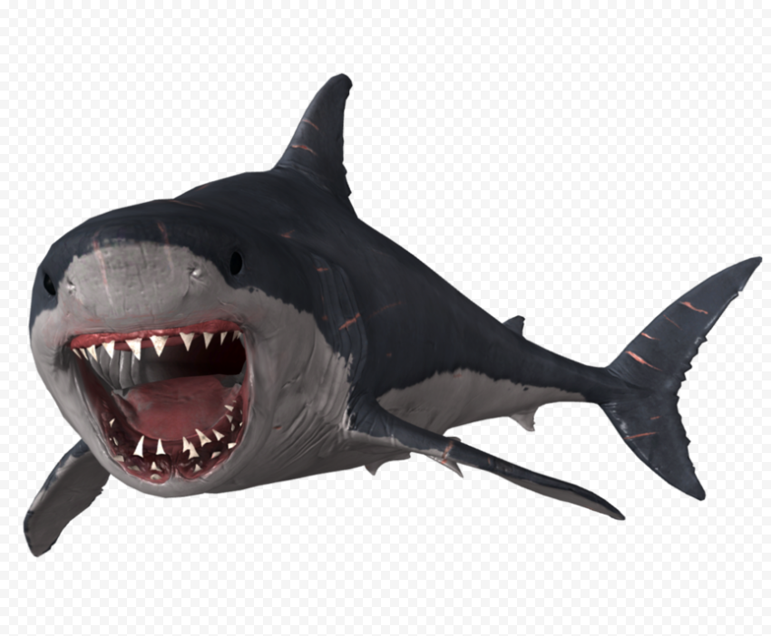 Face Megalodon Shark PNG Transparent Image