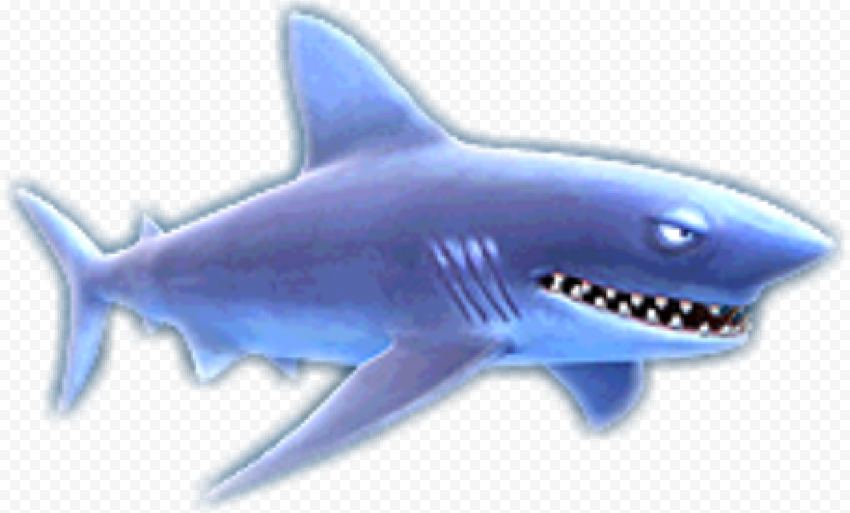 Real Shark PNG Clipart
