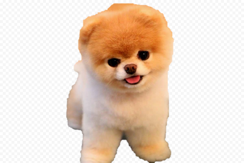 Boo PNG Photo 1