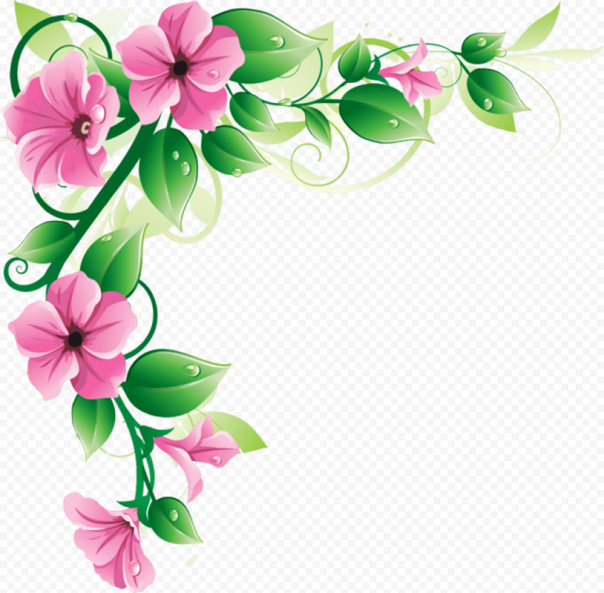 Flower Border Vector PNG