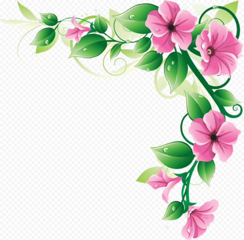 Flowers Border Corner PNG