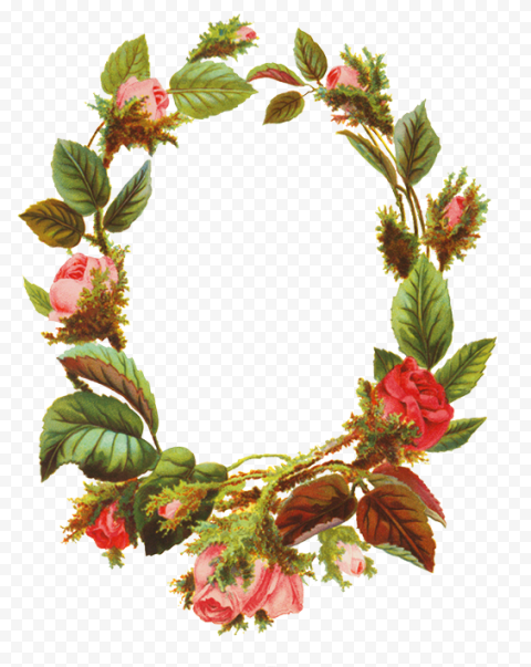 Oval Flower Border Frame Transparent PNG