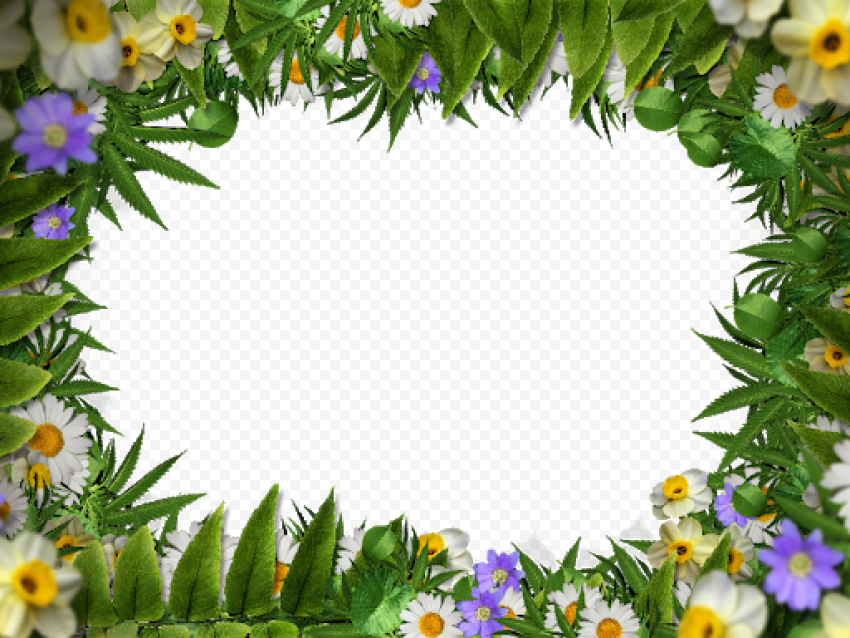 Square Flower Border Frame Transparent PNG